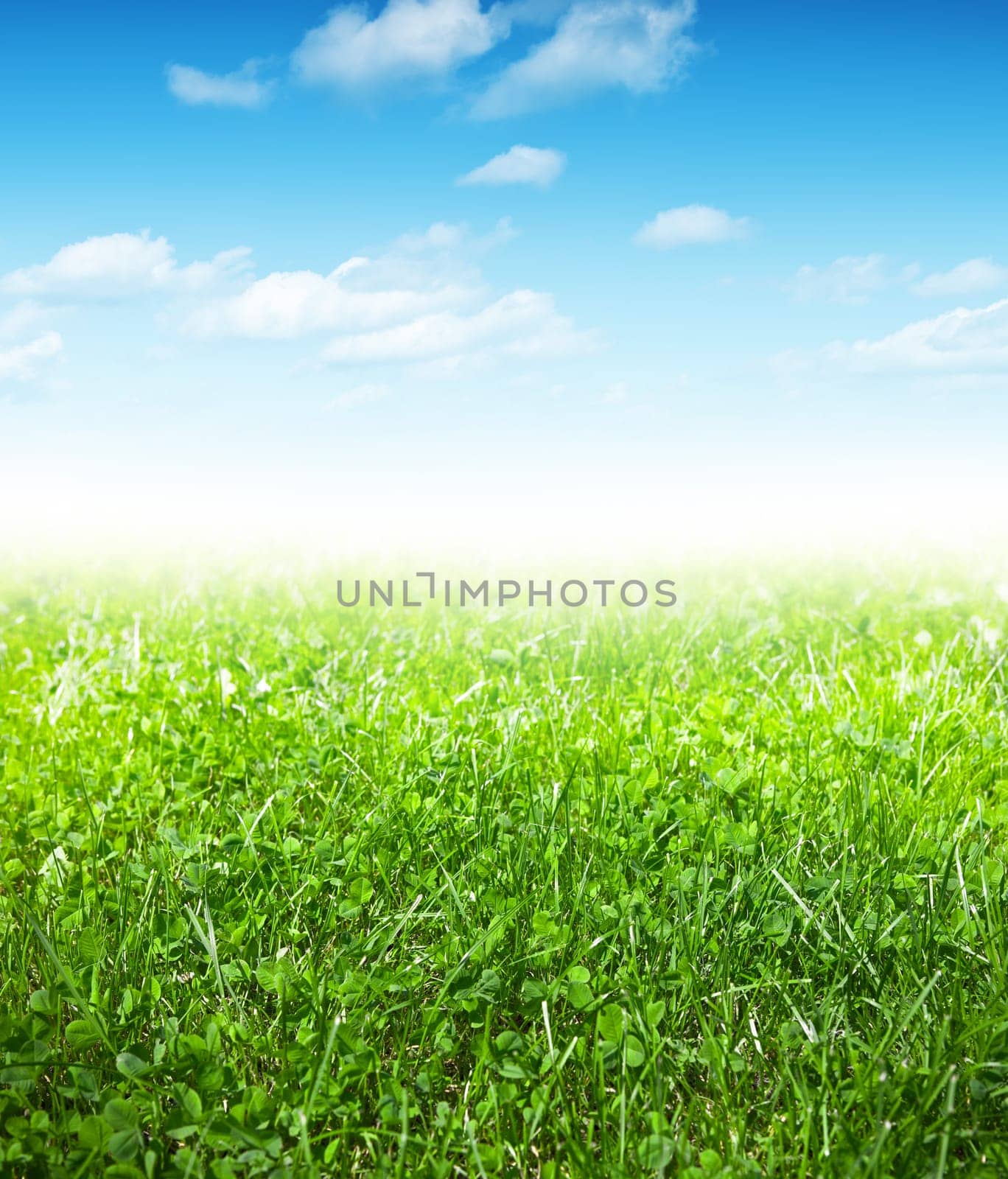 Green grass and blue sky with clouds, spring background
