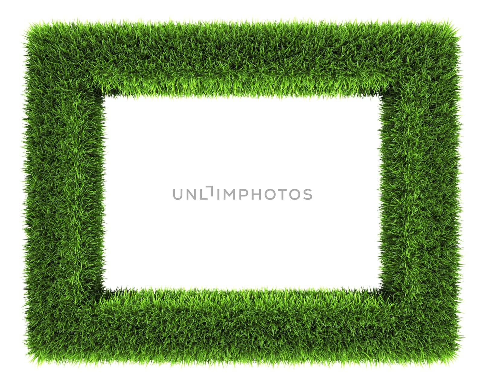 Grass frame isolated on white background. 3d render