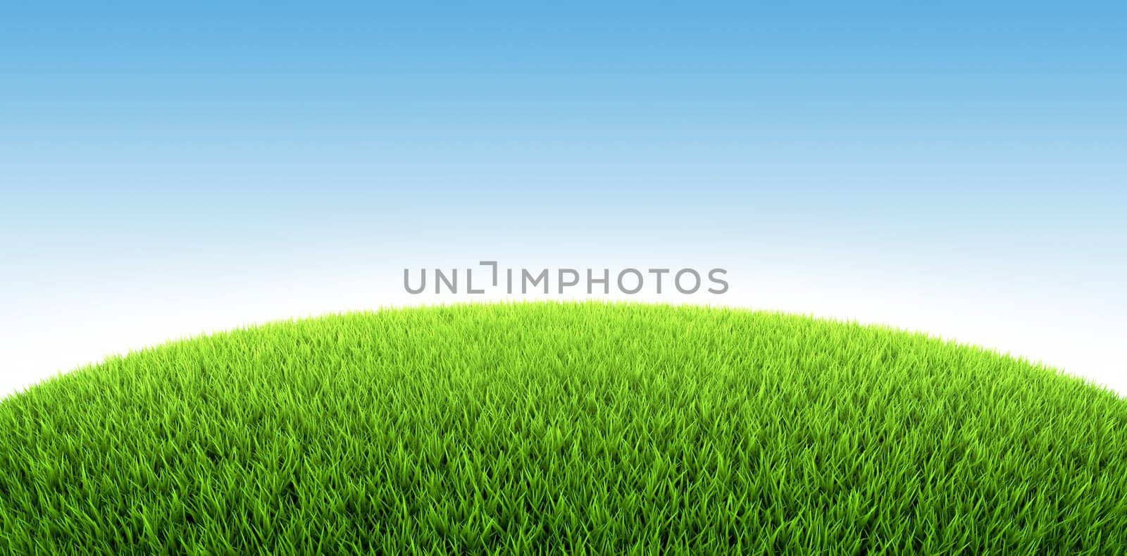 Field of fresh green grass, 3d render