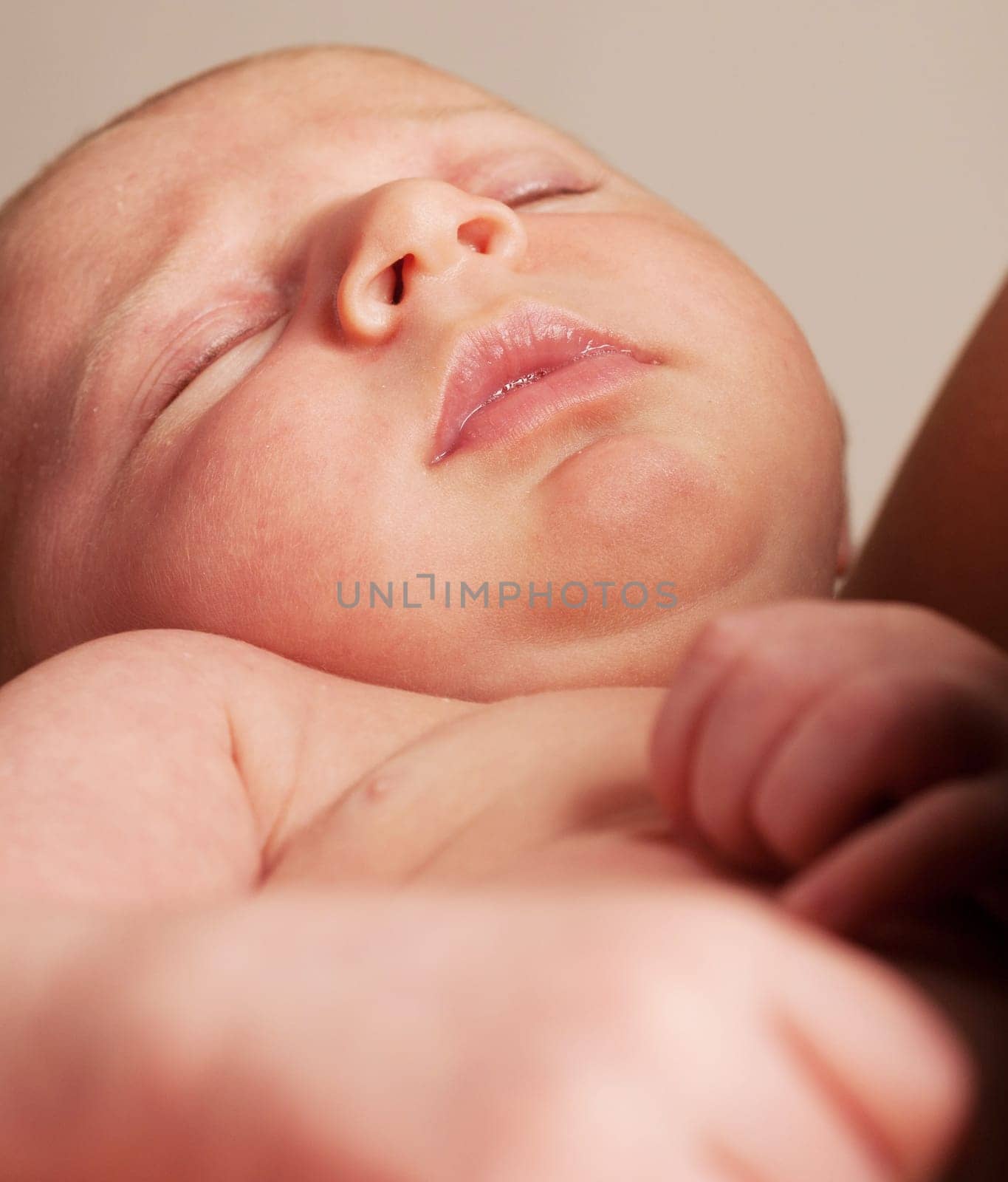 shutterstock,dreamstime,123rf,deposit,bigstock,veer,canstock,panther