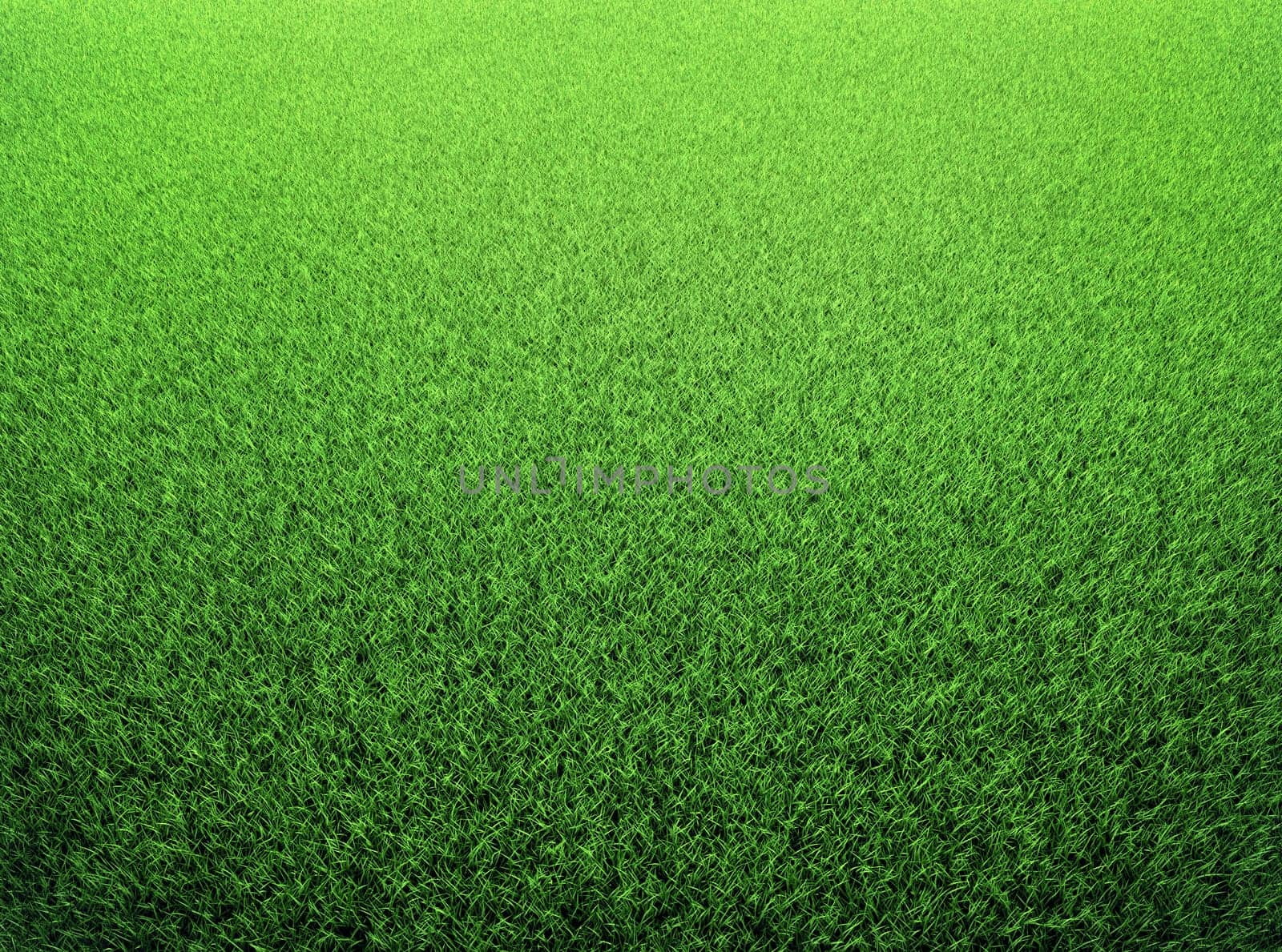 Grass background. Fresh green lawn. 3d render