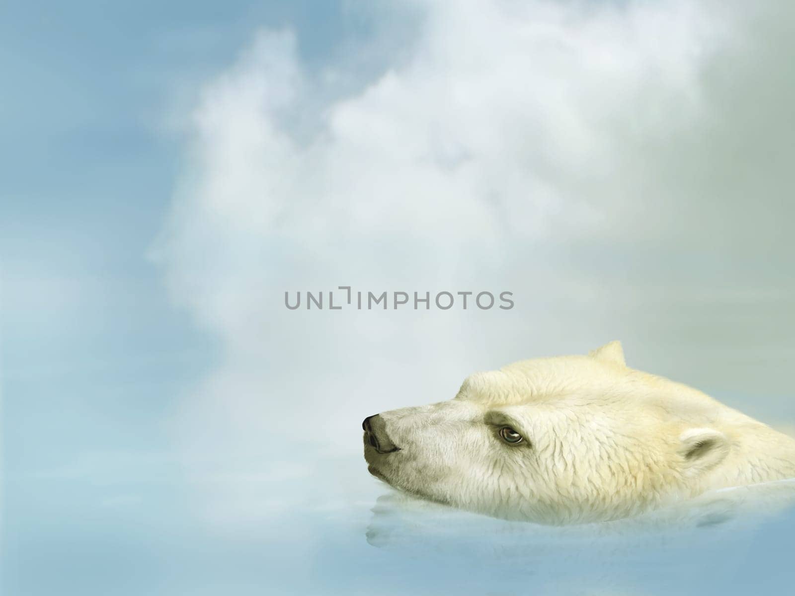 Illustration of a polar bear swimming in the ocean