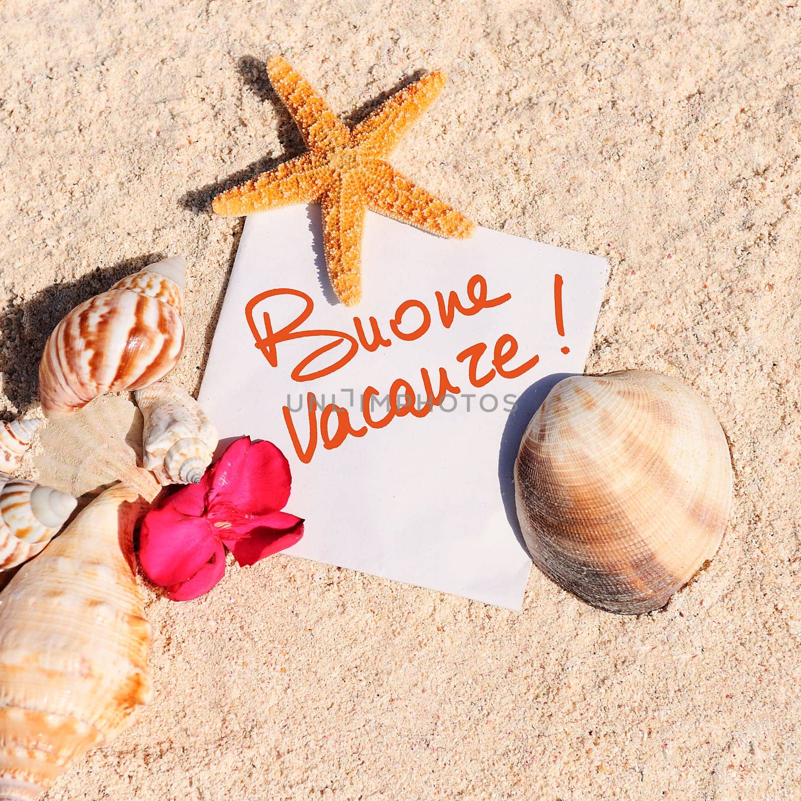 blank paper on white sand beach with starfish and shells like summer vacation background