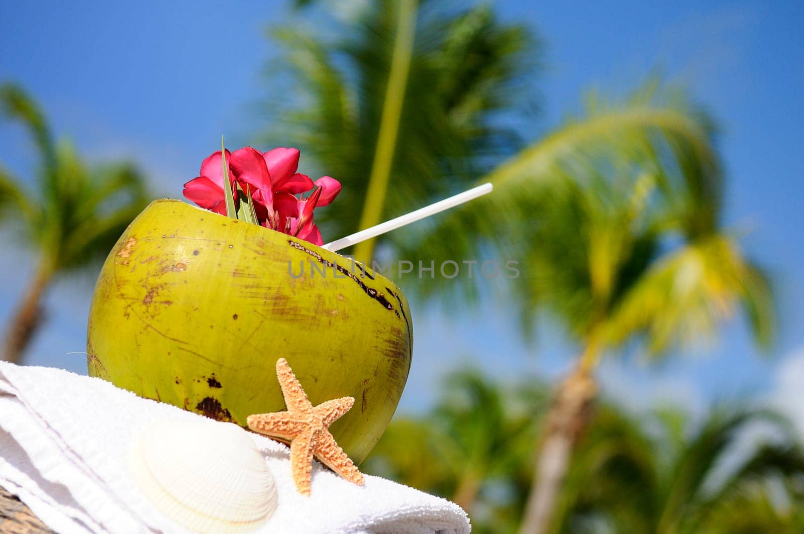 Coconut with drinking straw on a palm tree at the sea