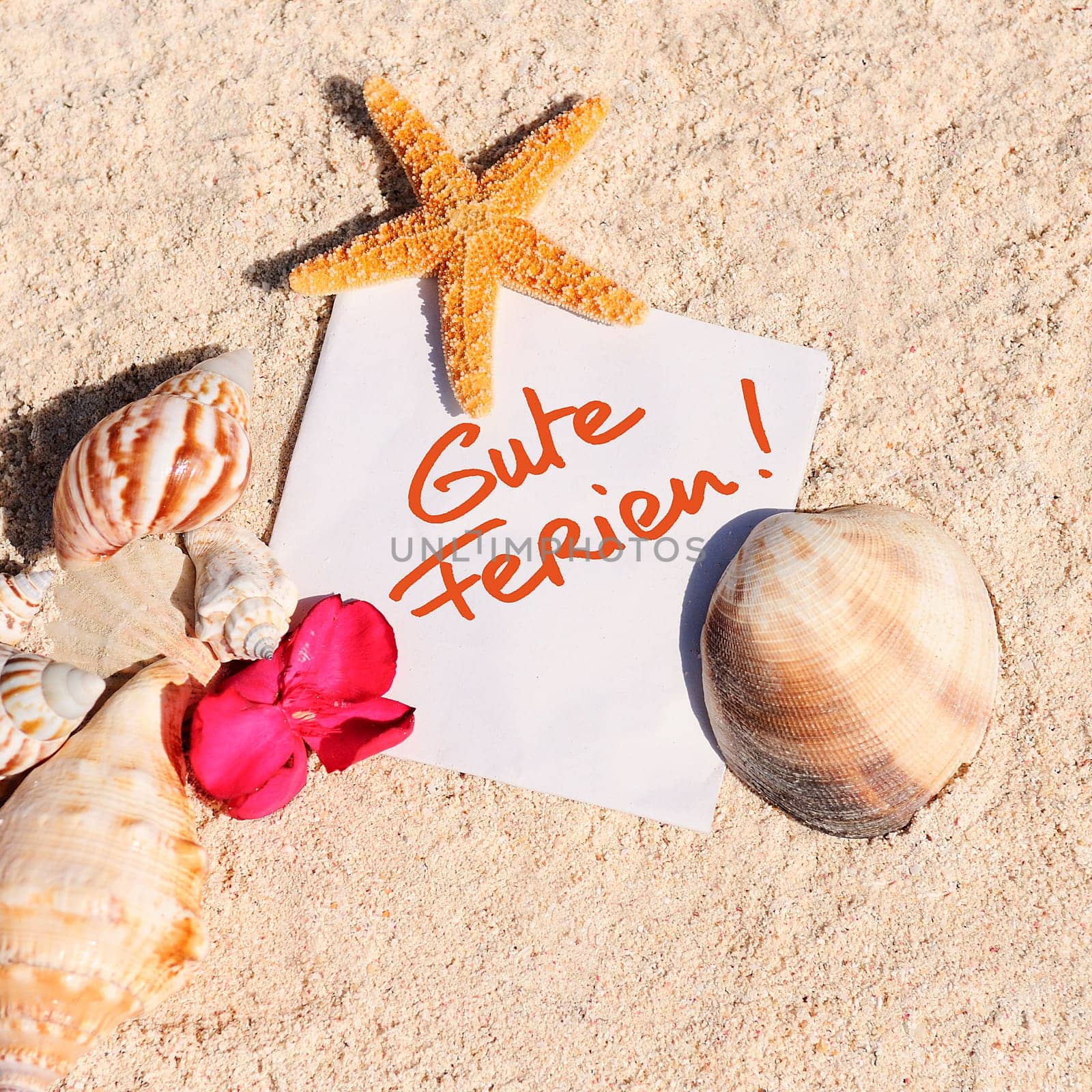 blank paper on white sand beach with starfish and shells like summer vacation background