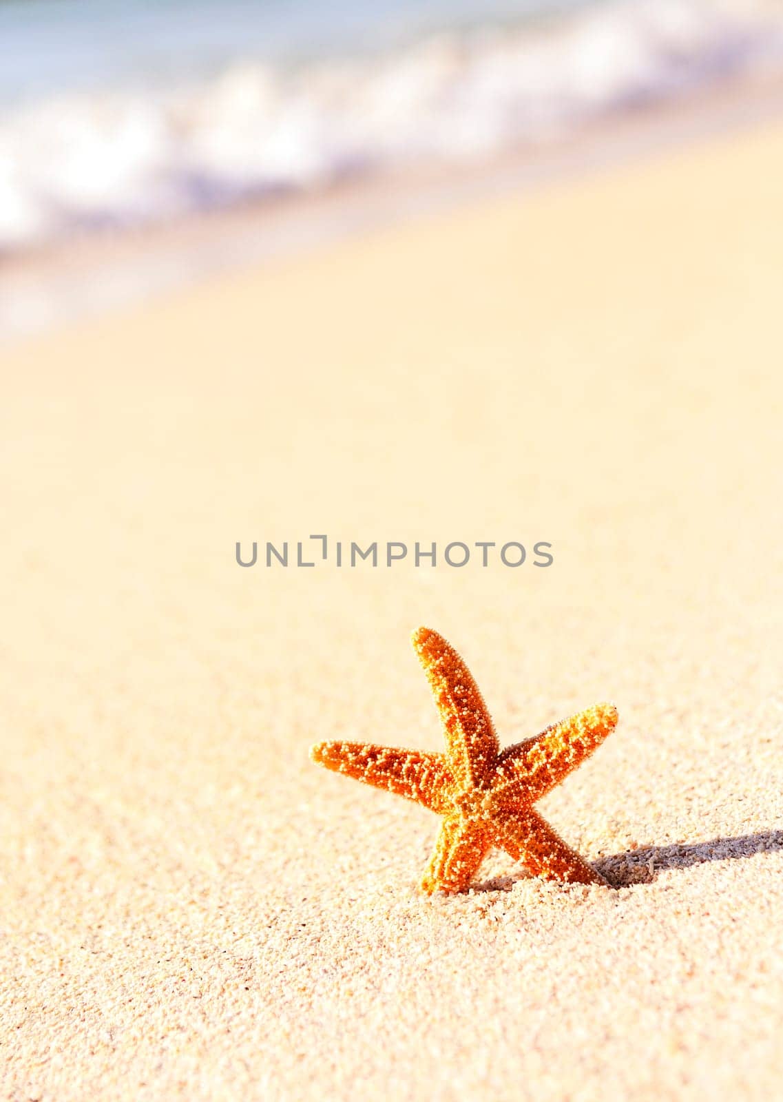 Summer vacations - starfish on sunset sea sand beach