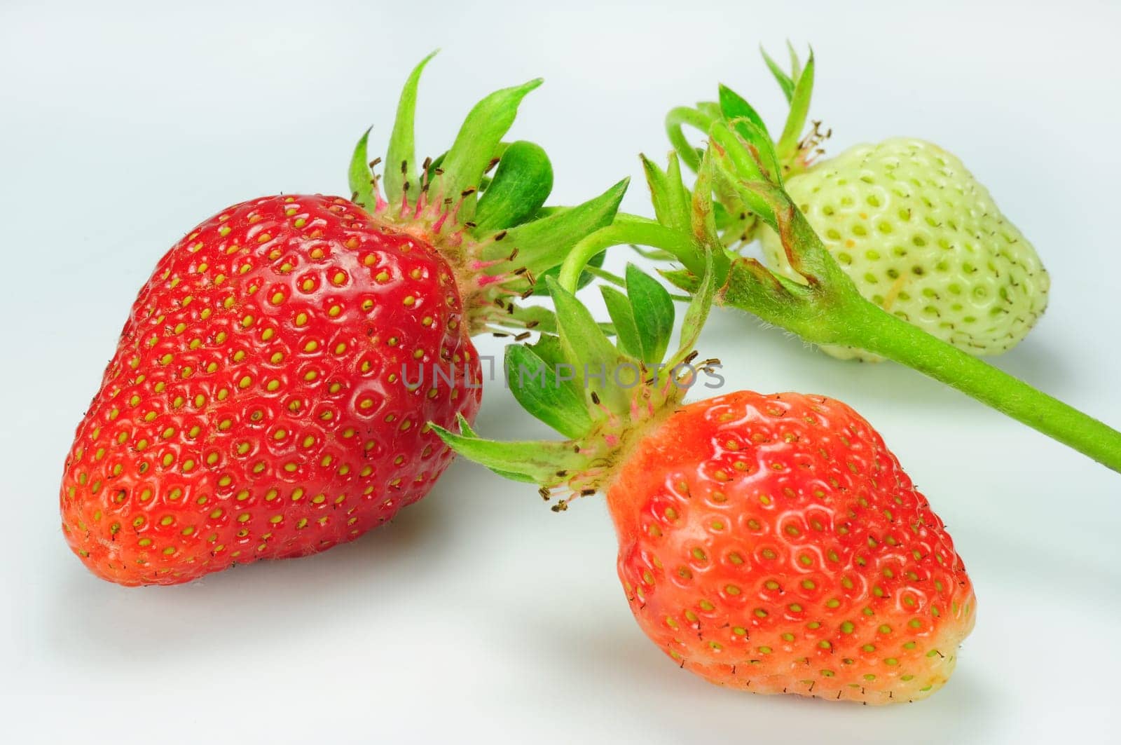 Strawberries