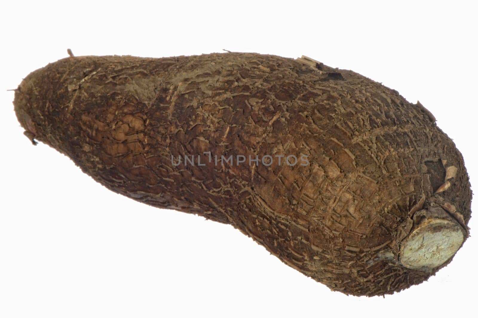 yucca, a traditional ecuatorian  food on white background