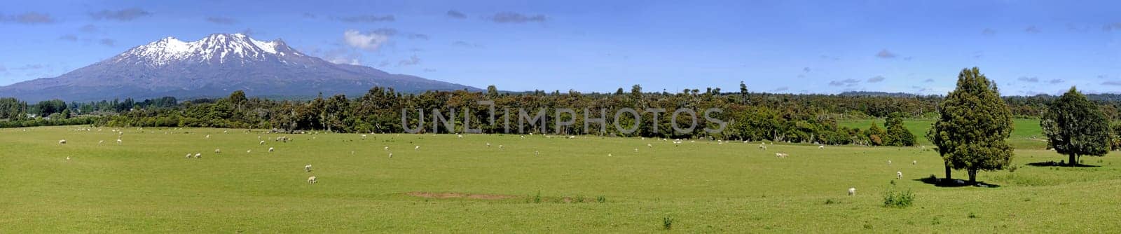 Mount Ruapehu