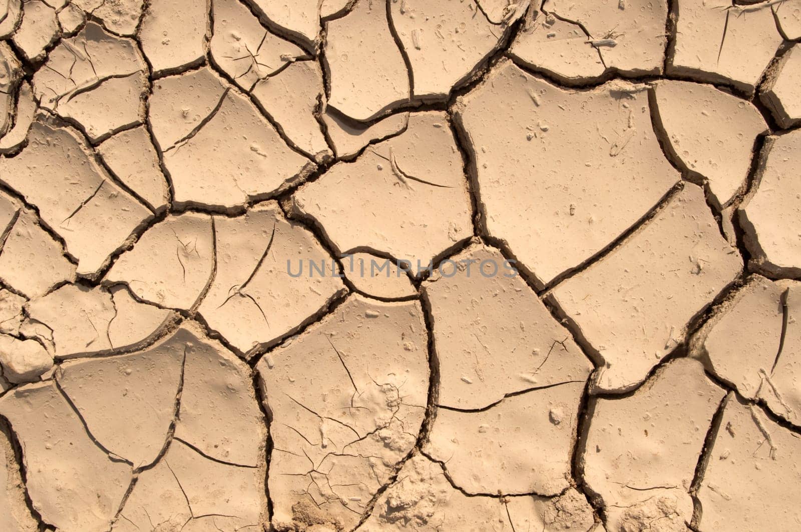 Cracked ground in the summer. Dry ground without water.