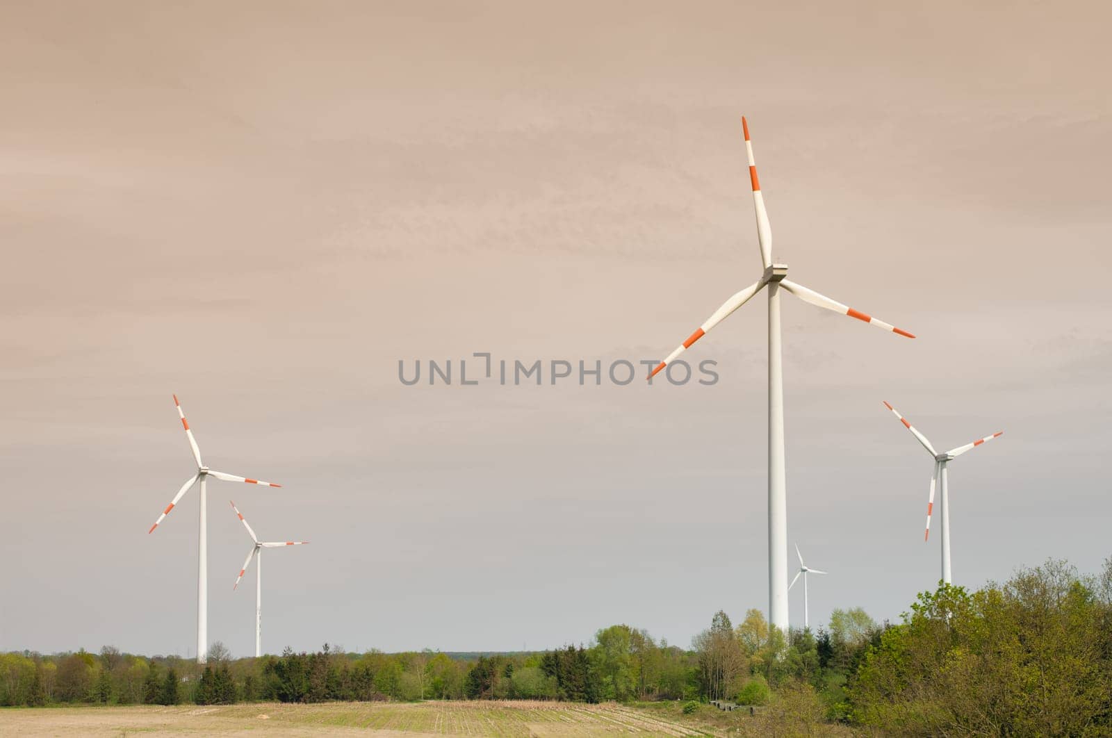 several windmills in a rural landscape