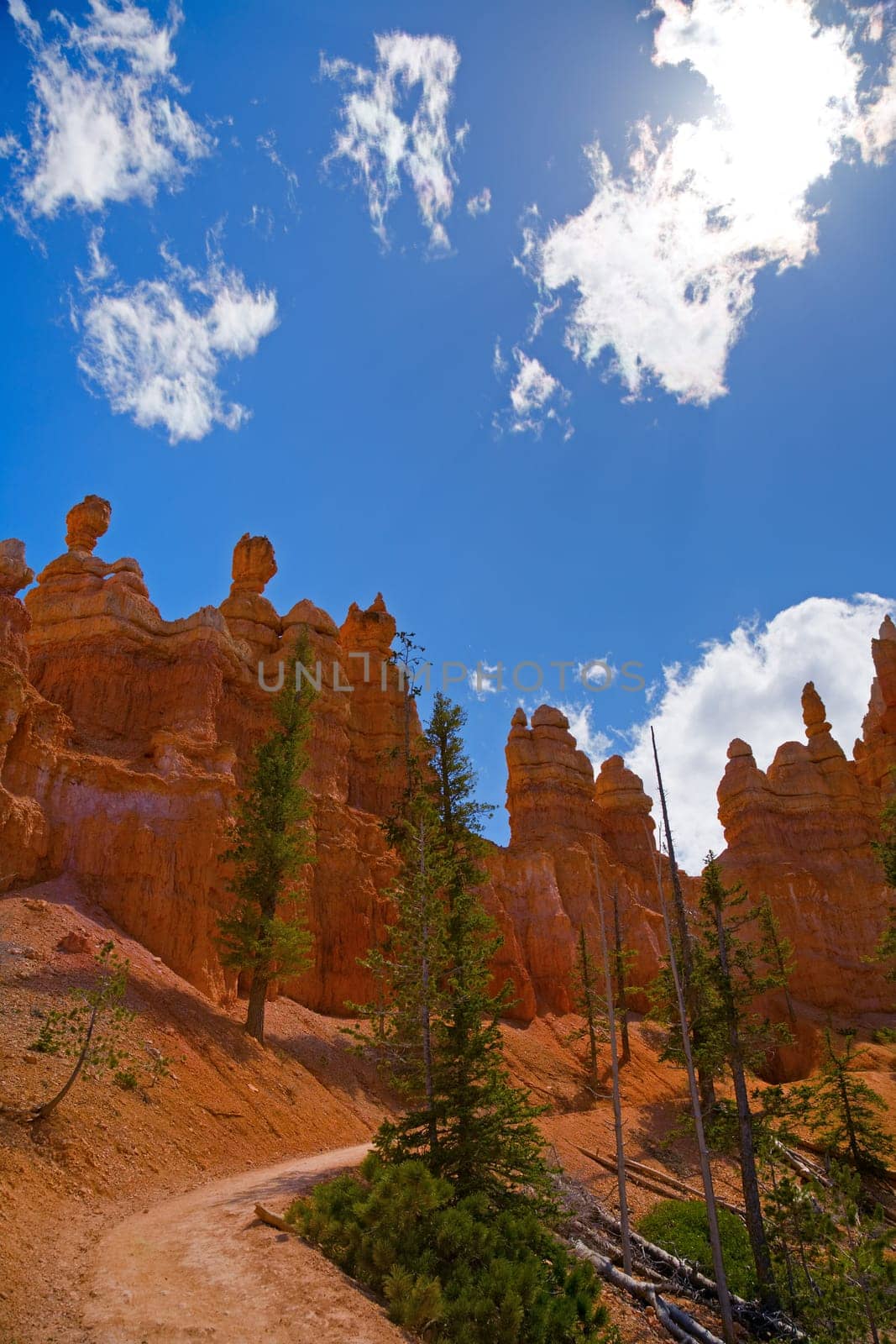 Unique rock formations inside Bryce Canyon in Utah