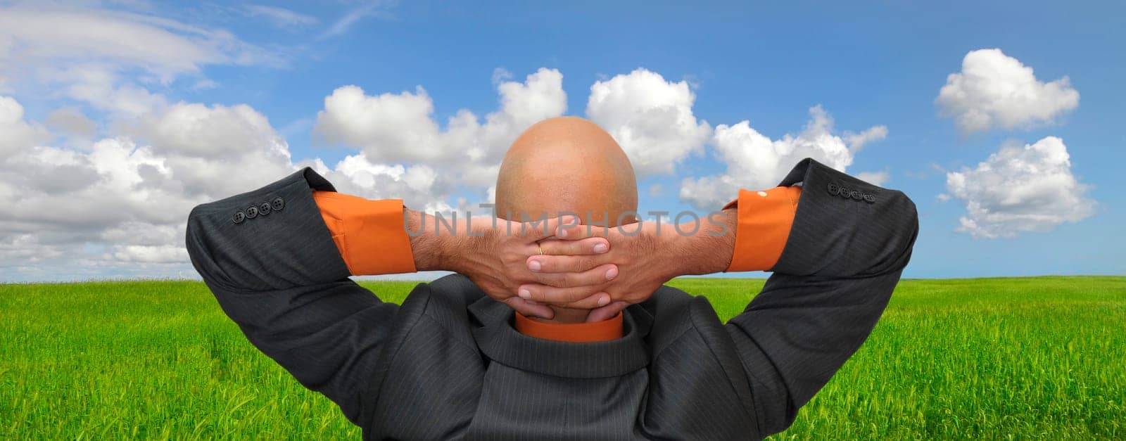 Man enjoying the view of a healthy green field with blue cloudy sky