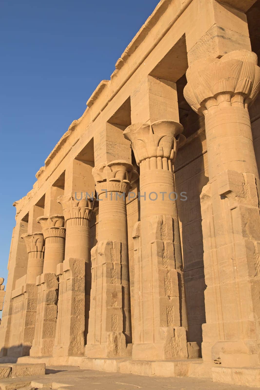 The Temple of Isis at Philae island in the sunset light. Near the town of Aswan ( Egypt)