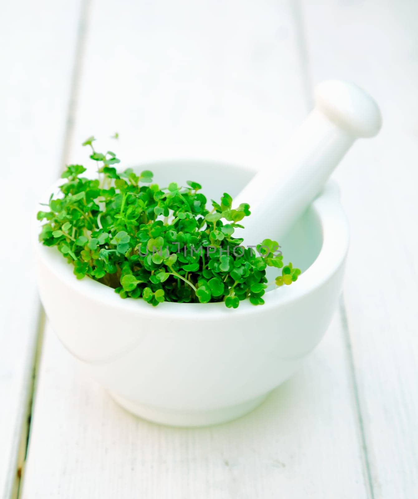 Garden cress in a mortar with pestle on a wooden background on white.