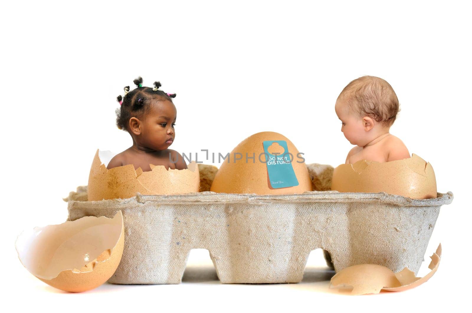 Beautiful babies inside eggs isolated in white