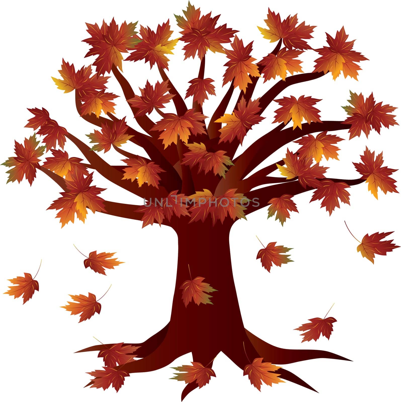 Autumn Maple Tree  in Fall Season Illustration Isolated on White Background