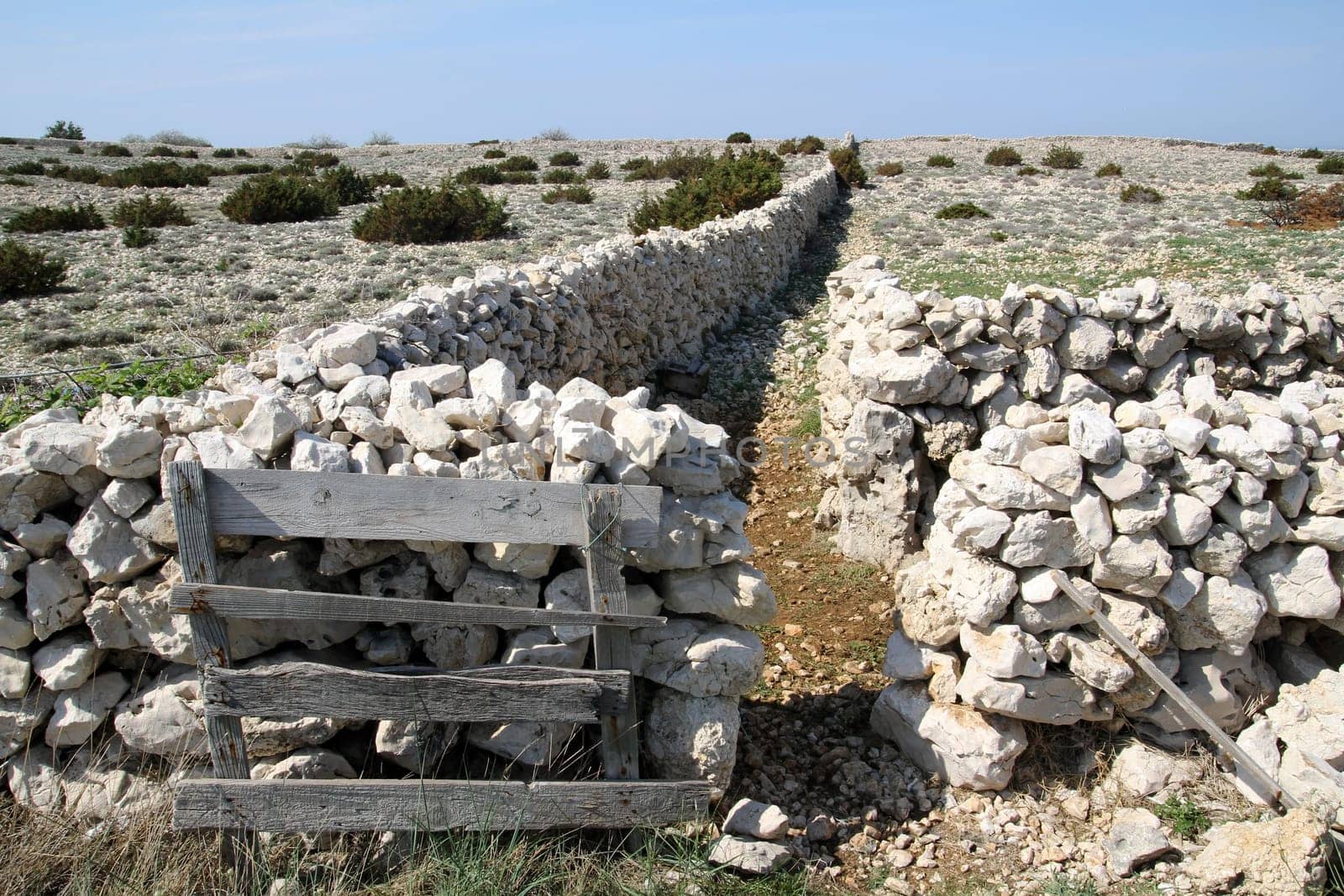The stone walls on Pag