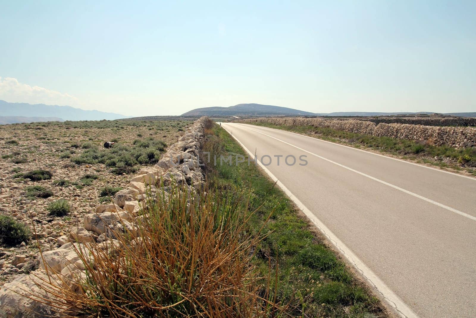 The straight road on the island of Pag