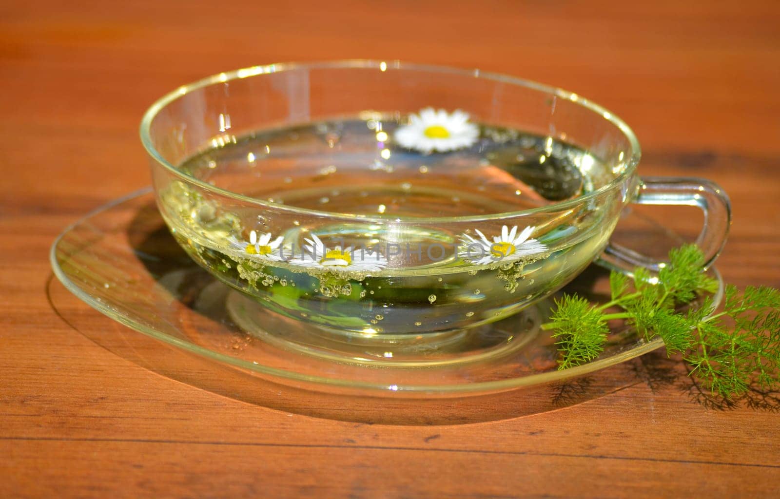 Wellness Spa Shield Stones