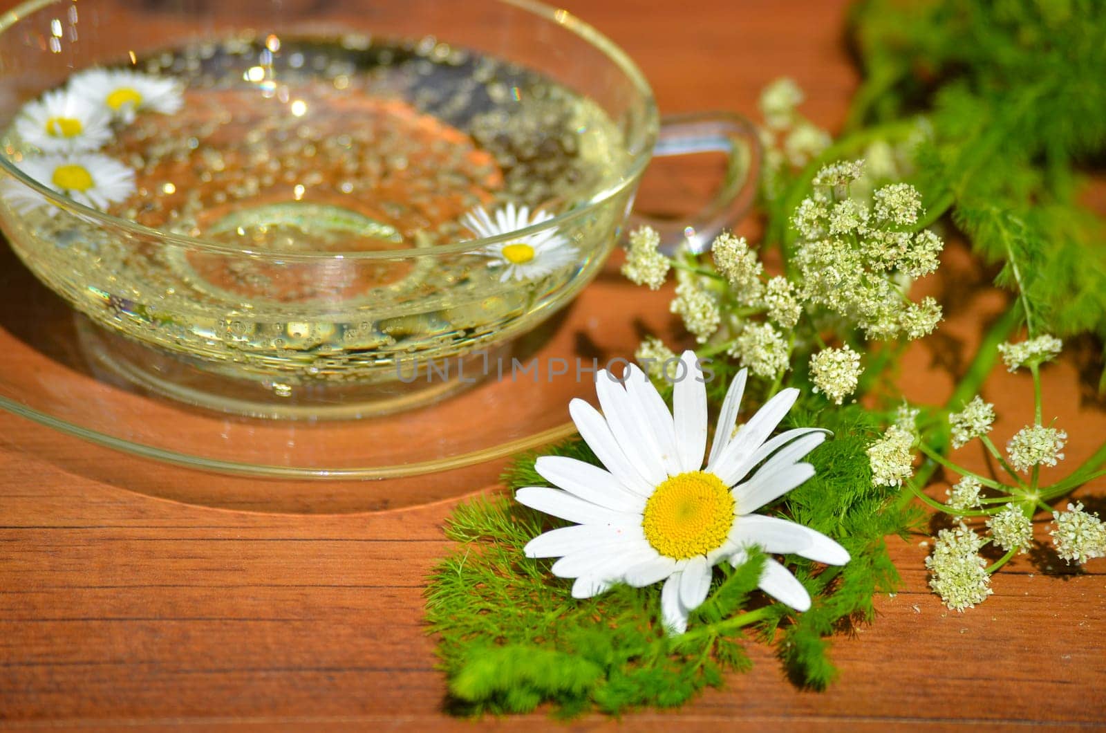 Herbs Relax Tea Wellness