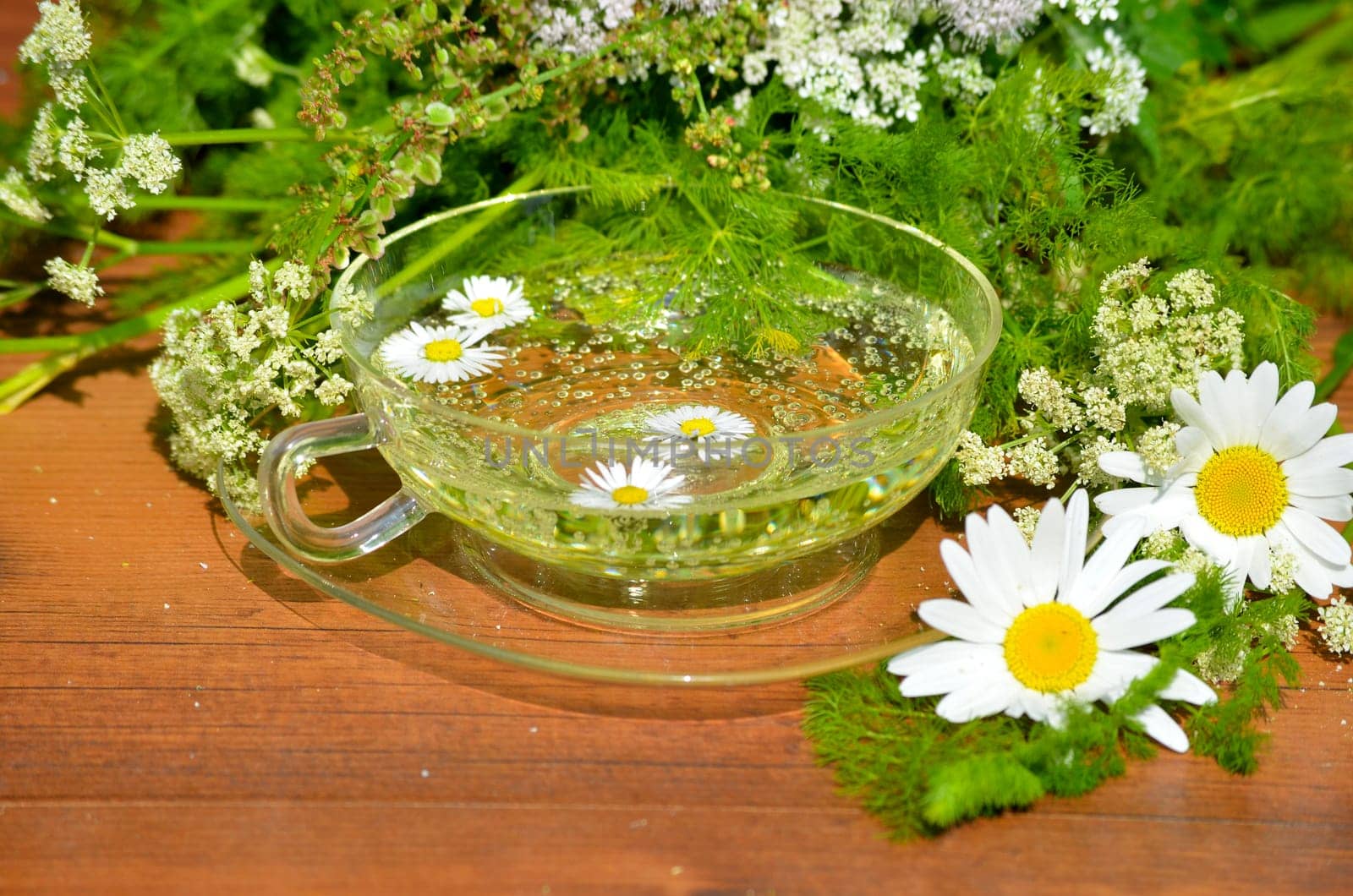 Herbs Relax Tea Wellness