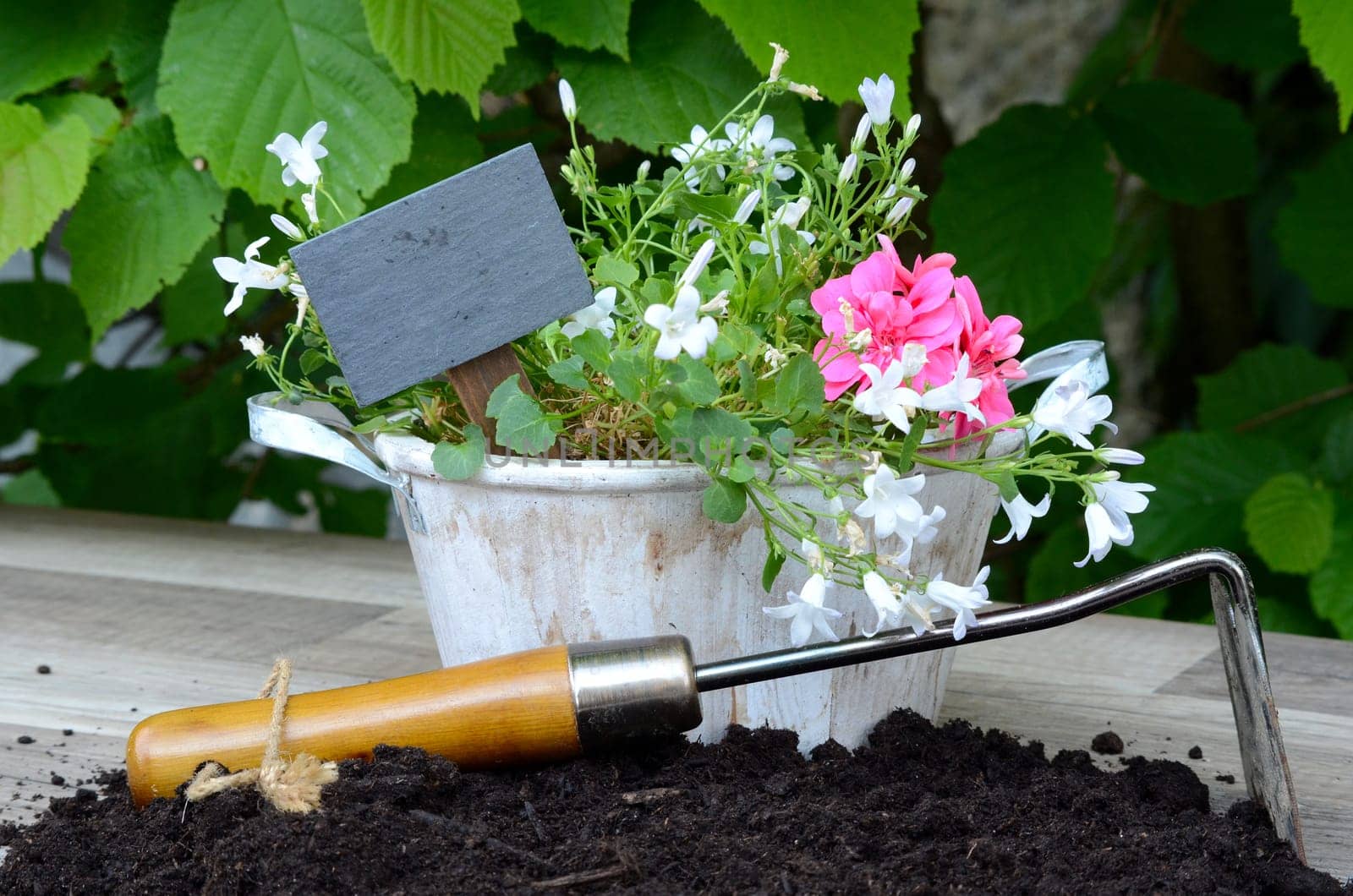 Plants Garden Potting Soil