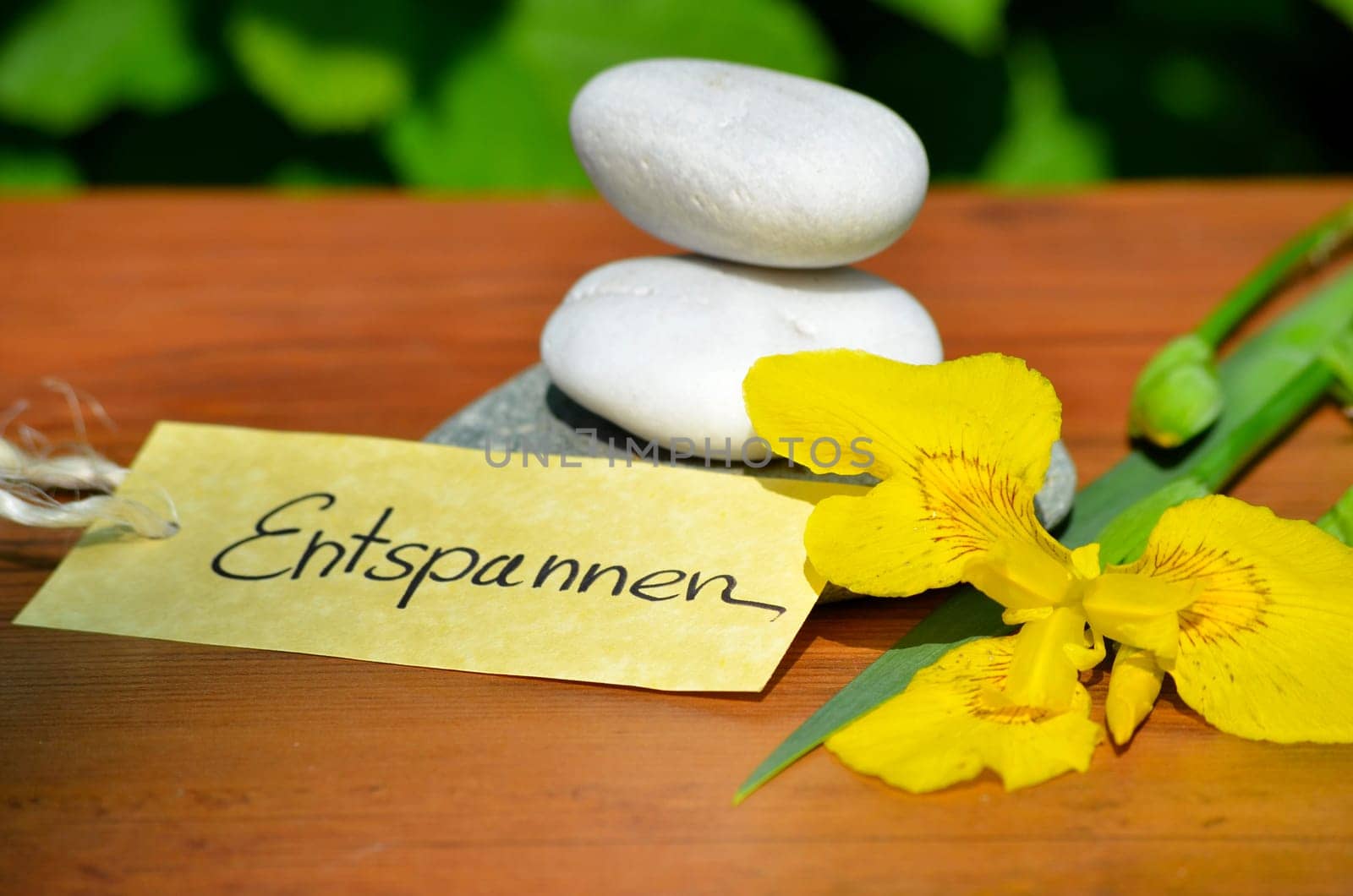 Wellness Spa Shield Stones