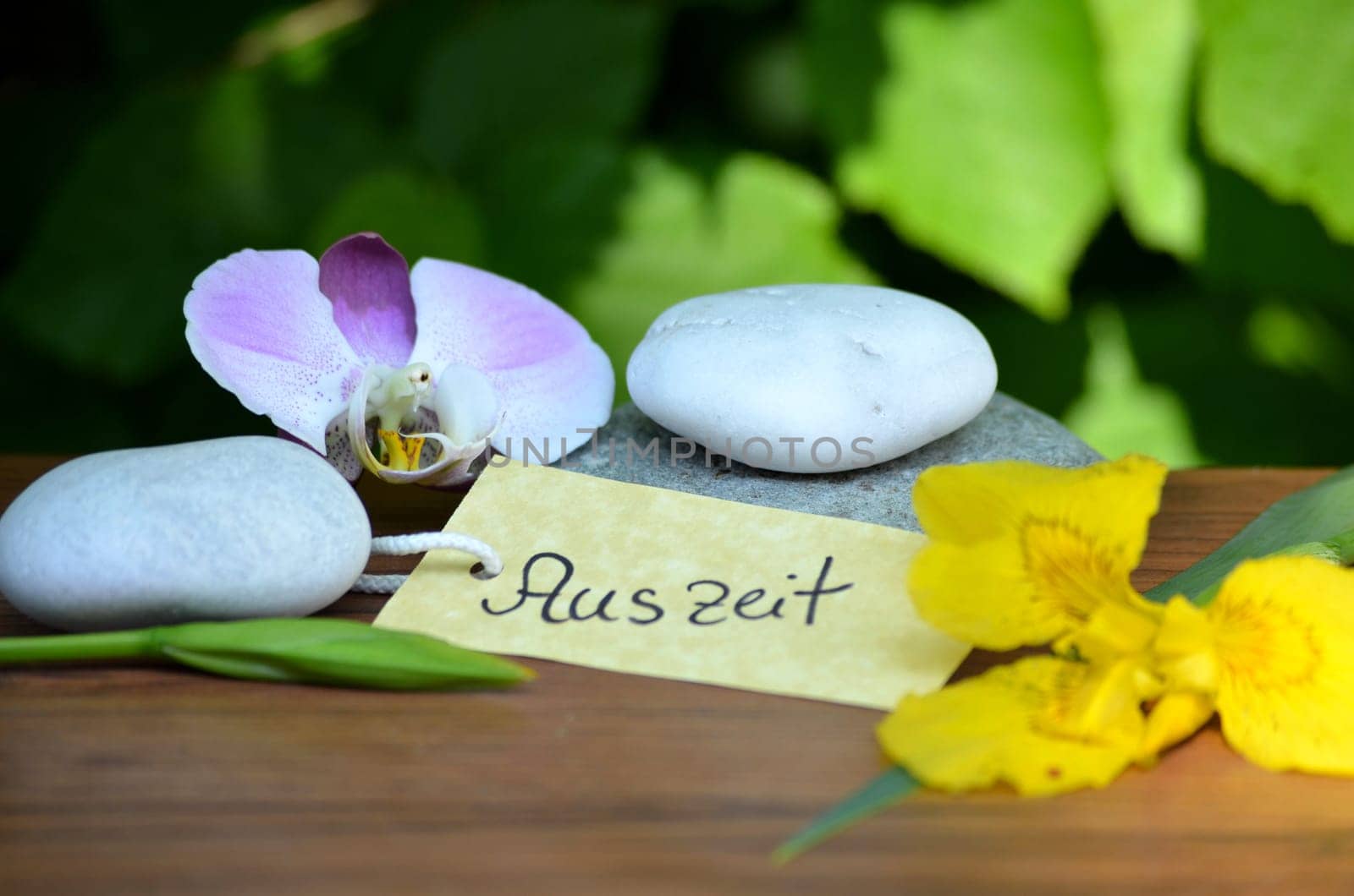 Wellness Spa Shield Stones