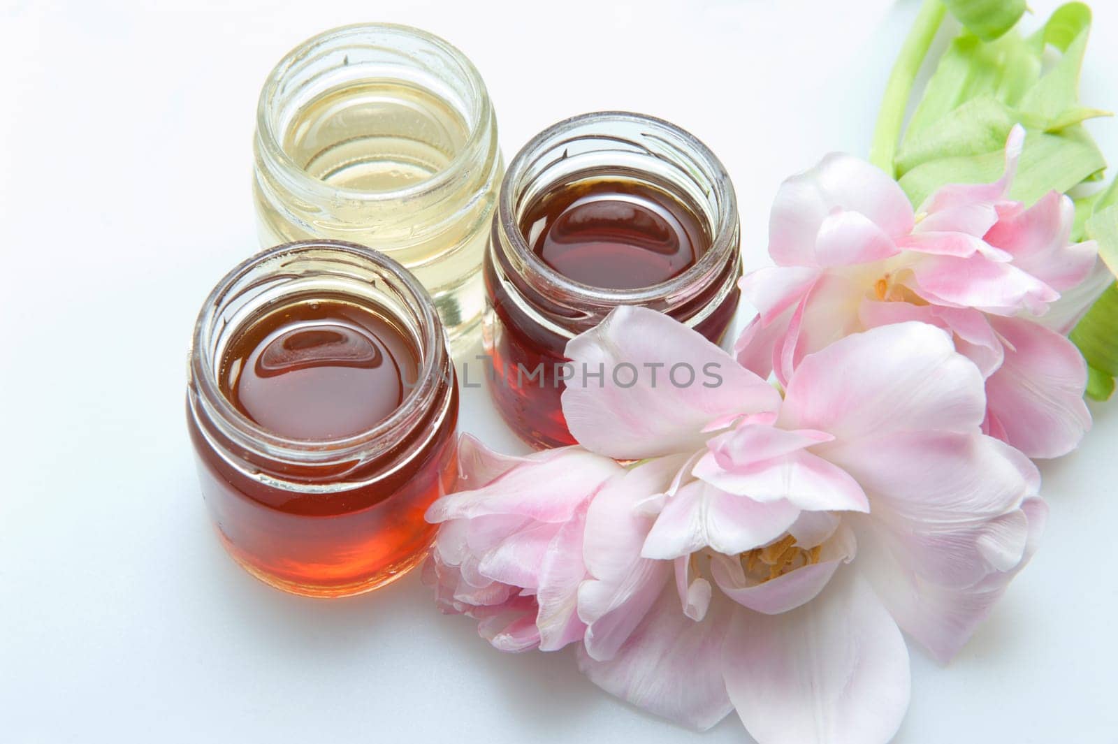 Italian Honey of different qualities on white background