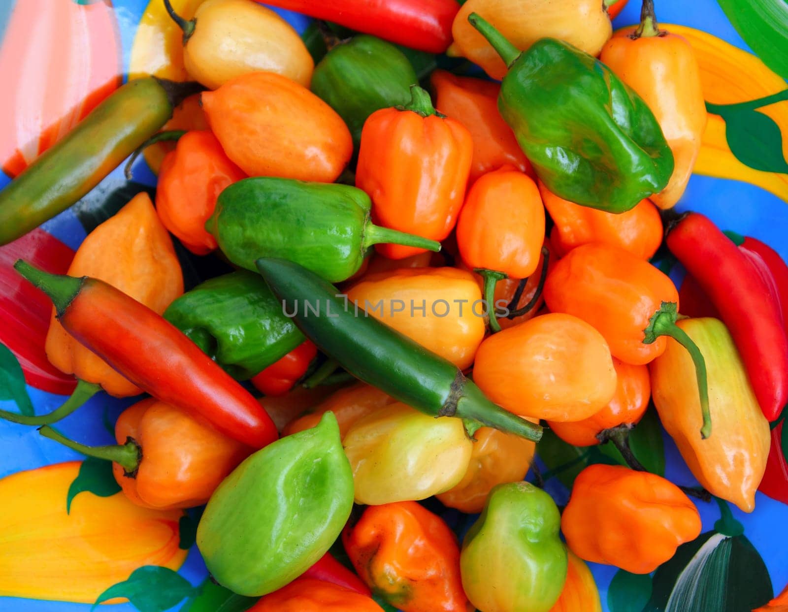 chili Habanero and Serrano hot mexican peppers colorful dish