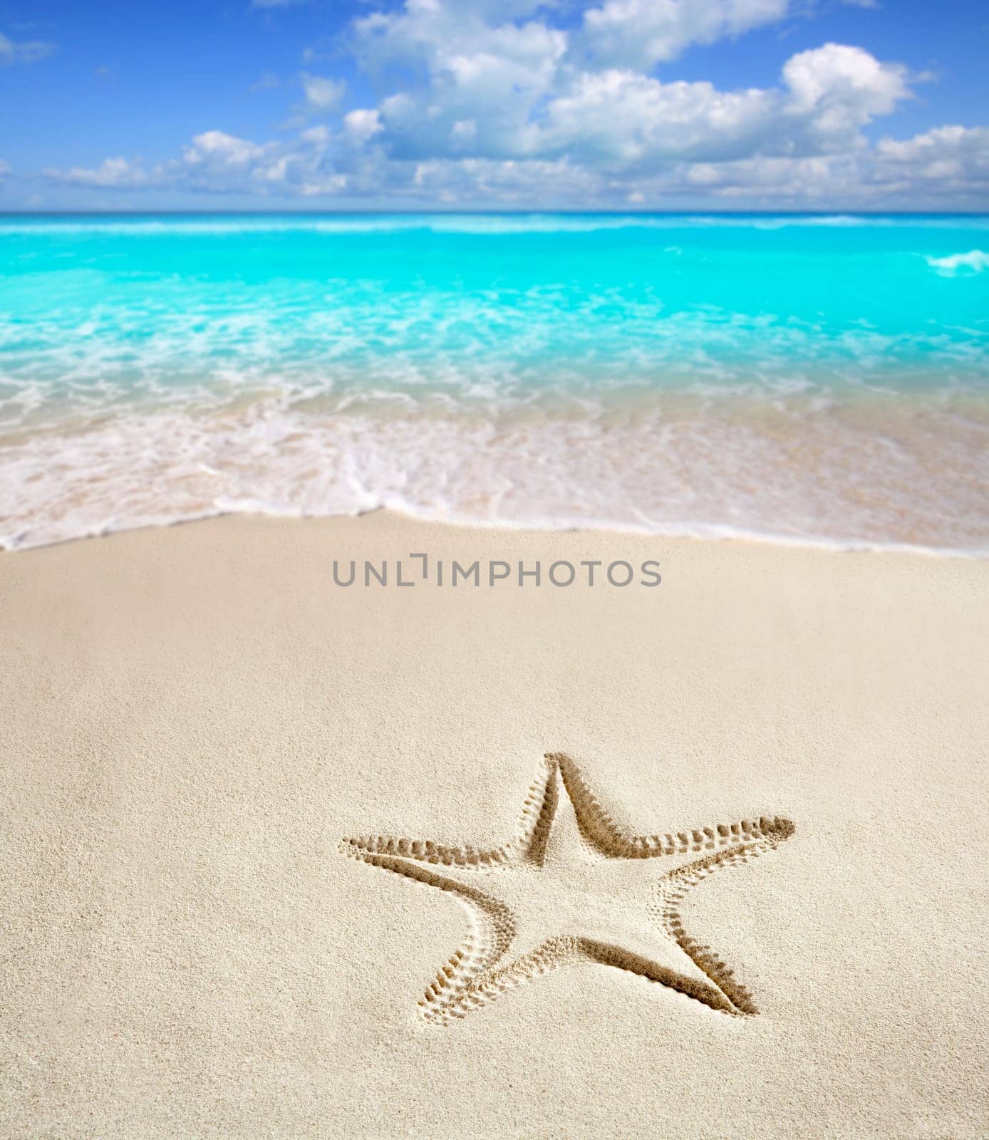 caribbean beach with starfish print on white sand such as a summer vacation symbol