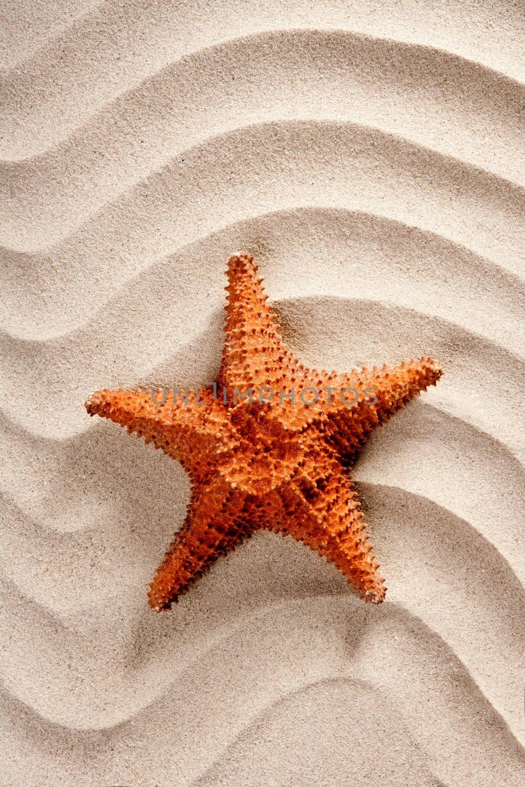 beach white wavy sand with starfish such a summer vacation symbol