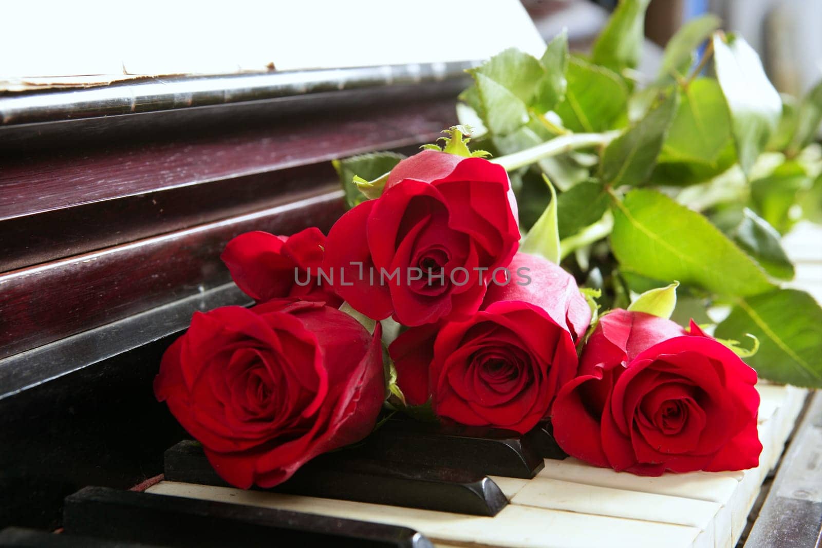 classic red roses on piano vintage romantic valentines day