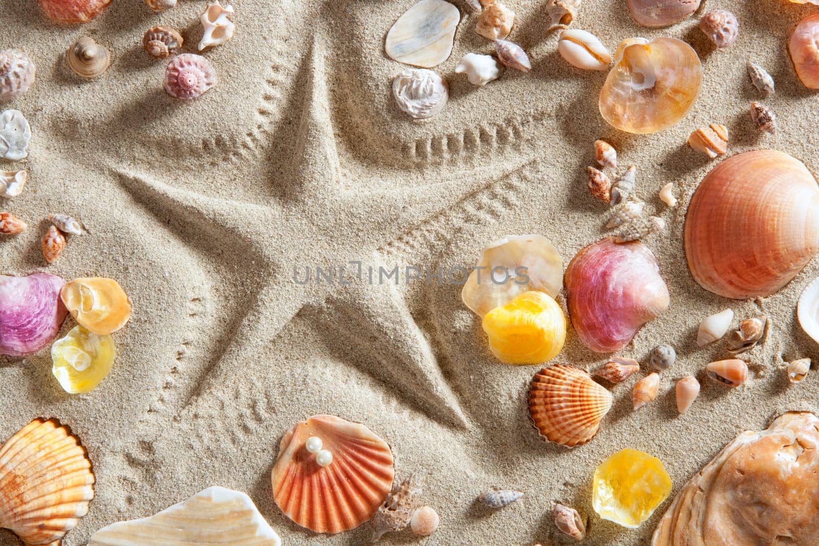beach with starfish printed in white sand many clam shells as a summer vacation background