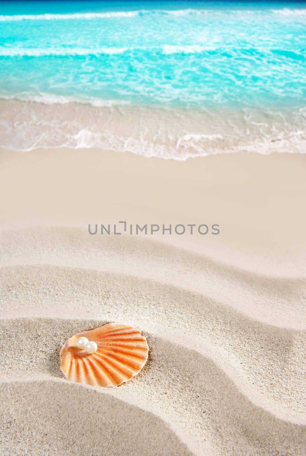 Caribbean pearl on shell in white wavy sand beach of a tropical turquoise sea