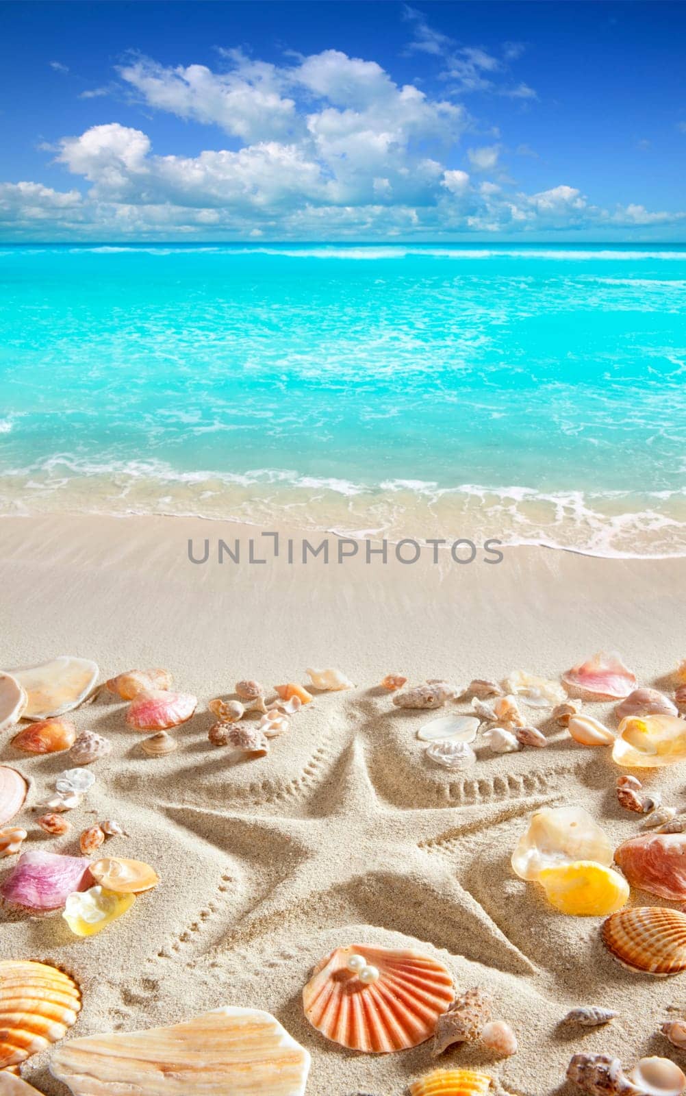 starfish printed in white sand and shells from a tropical blue water beach