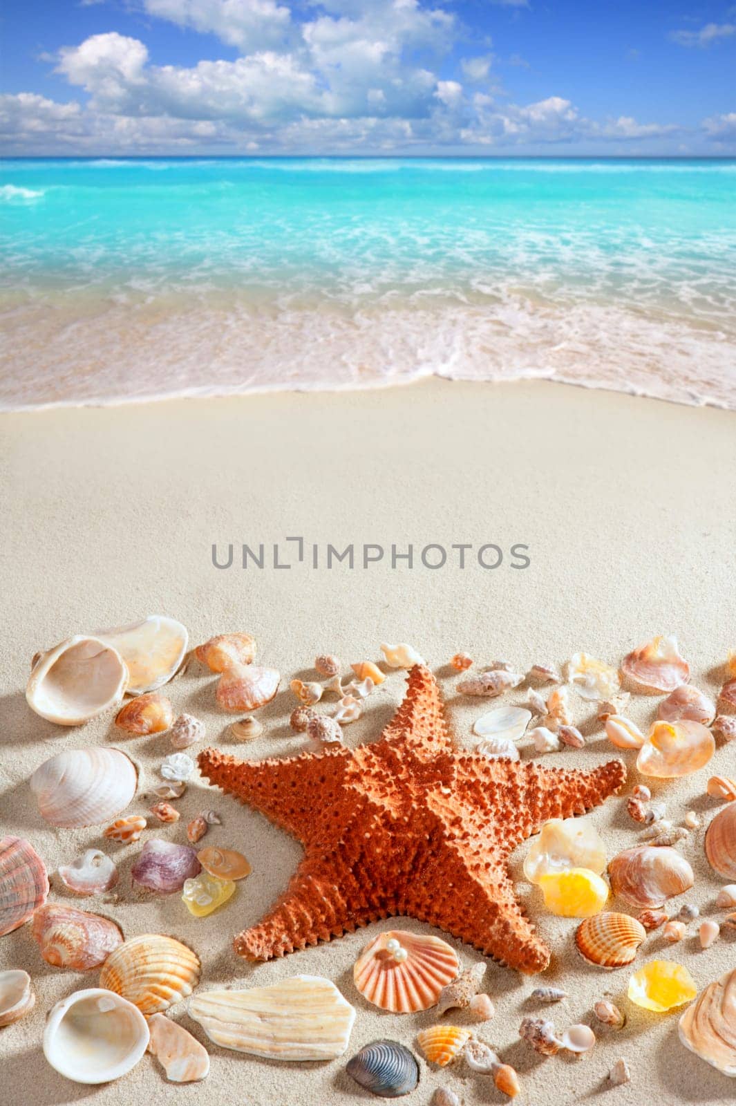 beach sand starfish caribbean tropical sea summer vacation background
