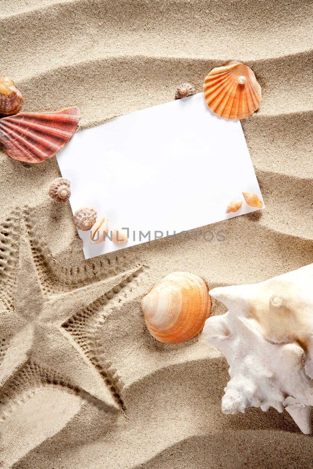 copyspace blank paper on white beach sand summer starfishand and shells