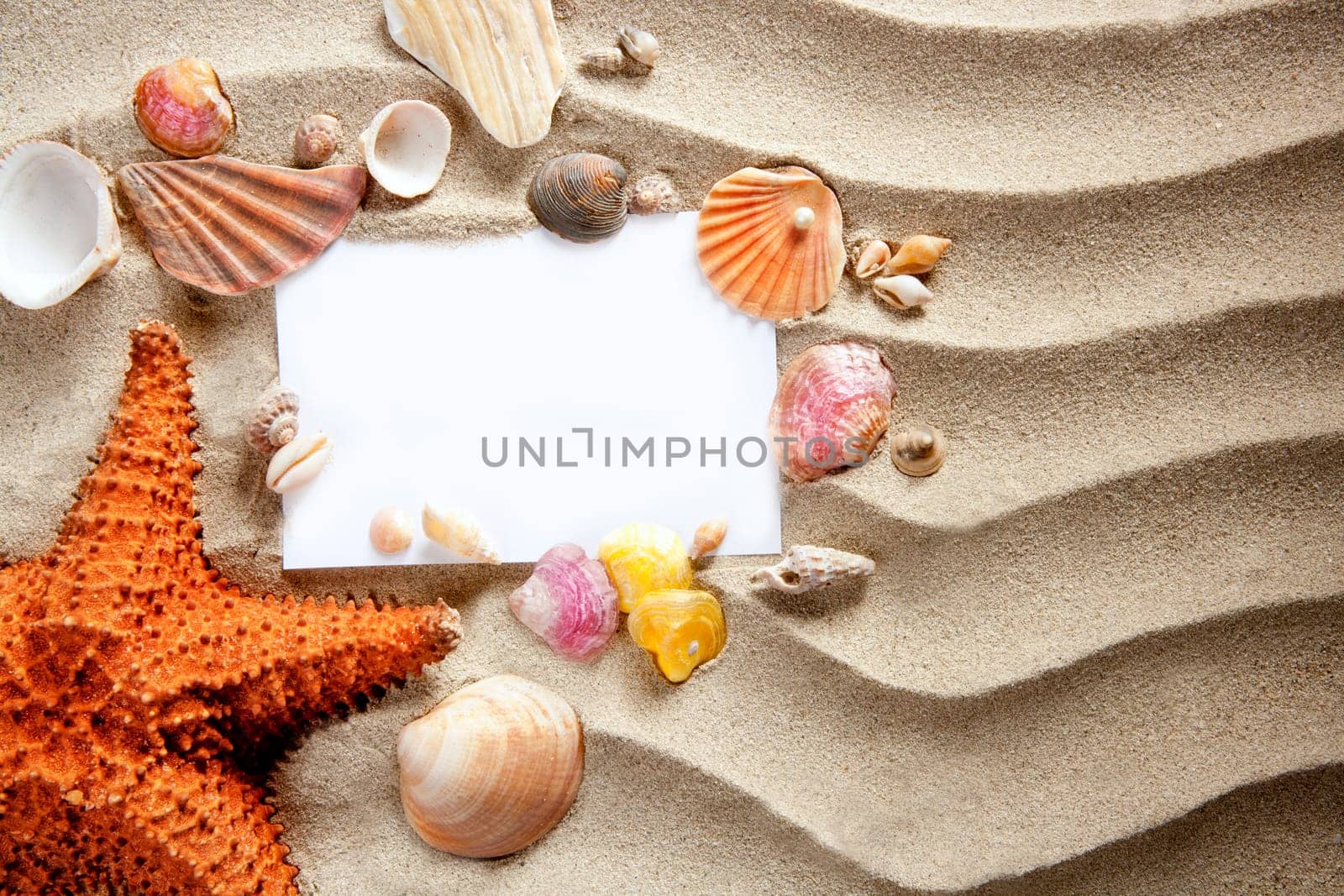 copyspace blank paper on white beach sand summer starfishand and shells