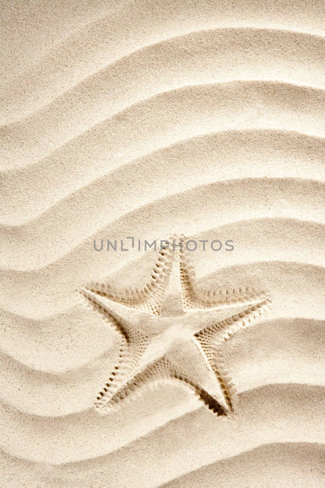 beach starfish printed over white caribbean sand such a summer vacation symbol