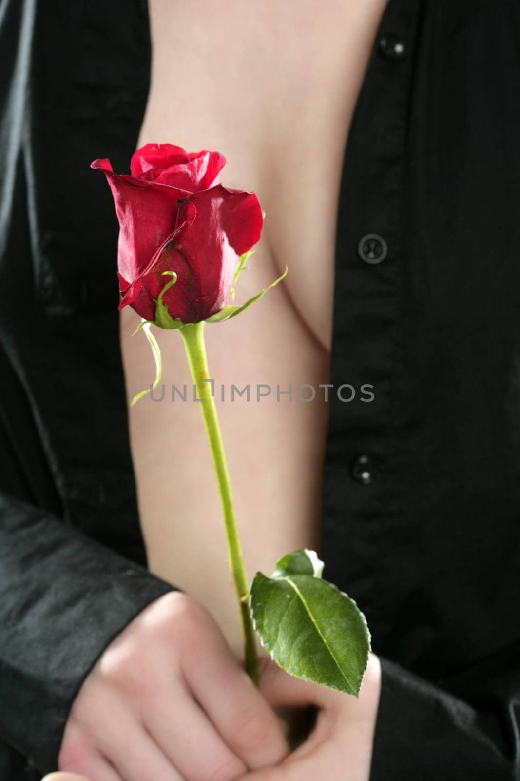 Beautiful woman body holding in hand a red rose