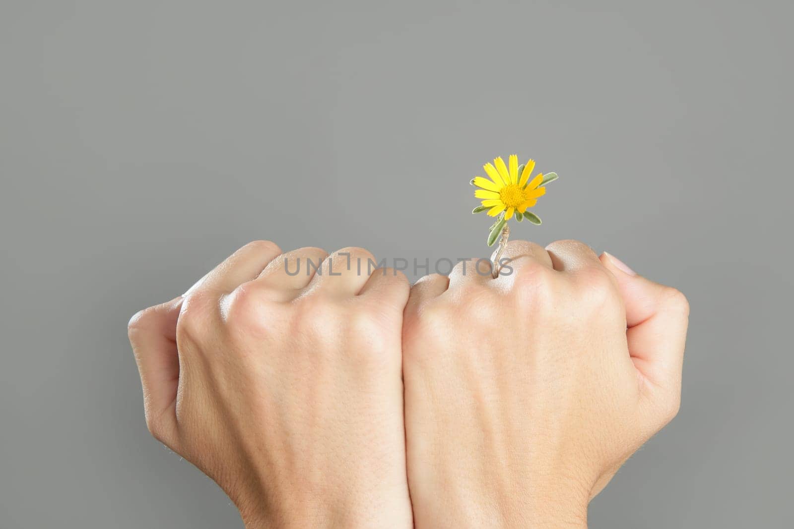 Concept of life with plant growing from woman hands