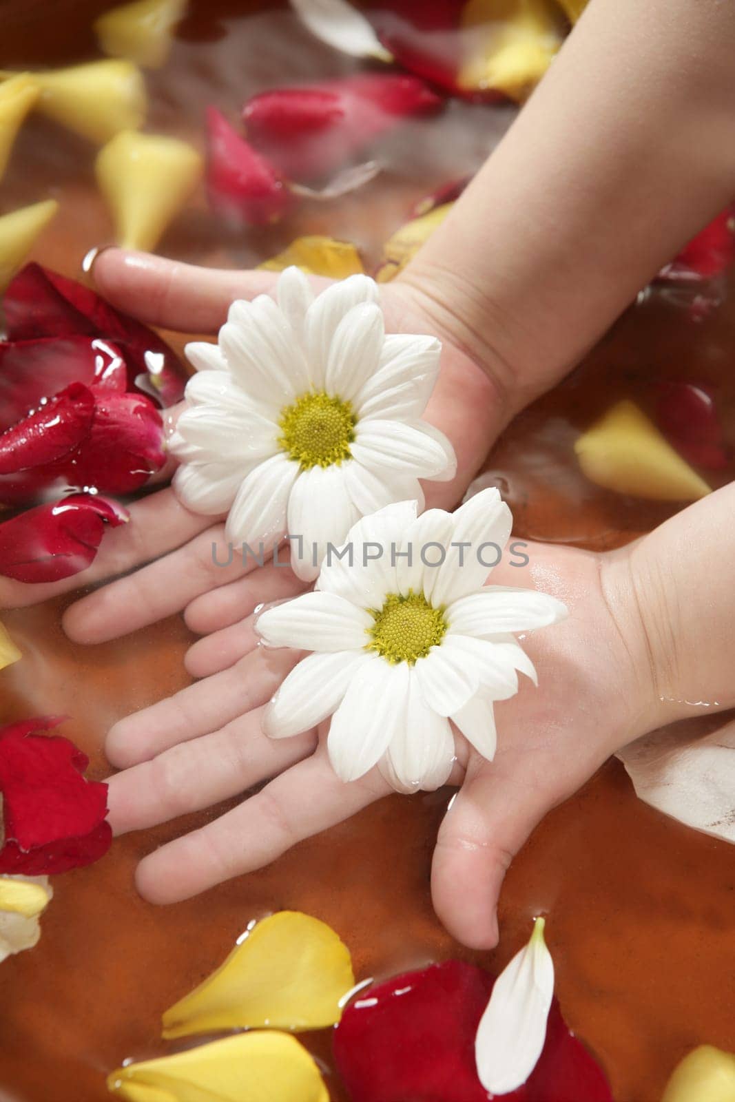 Aromatherapy children hand bath, rose petal, daisy  flower