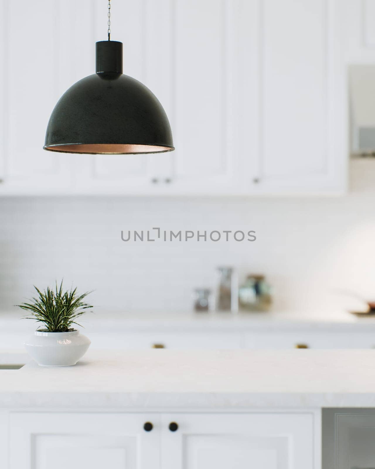 Modern white kitchen countertop with indoor plants. by N_Design