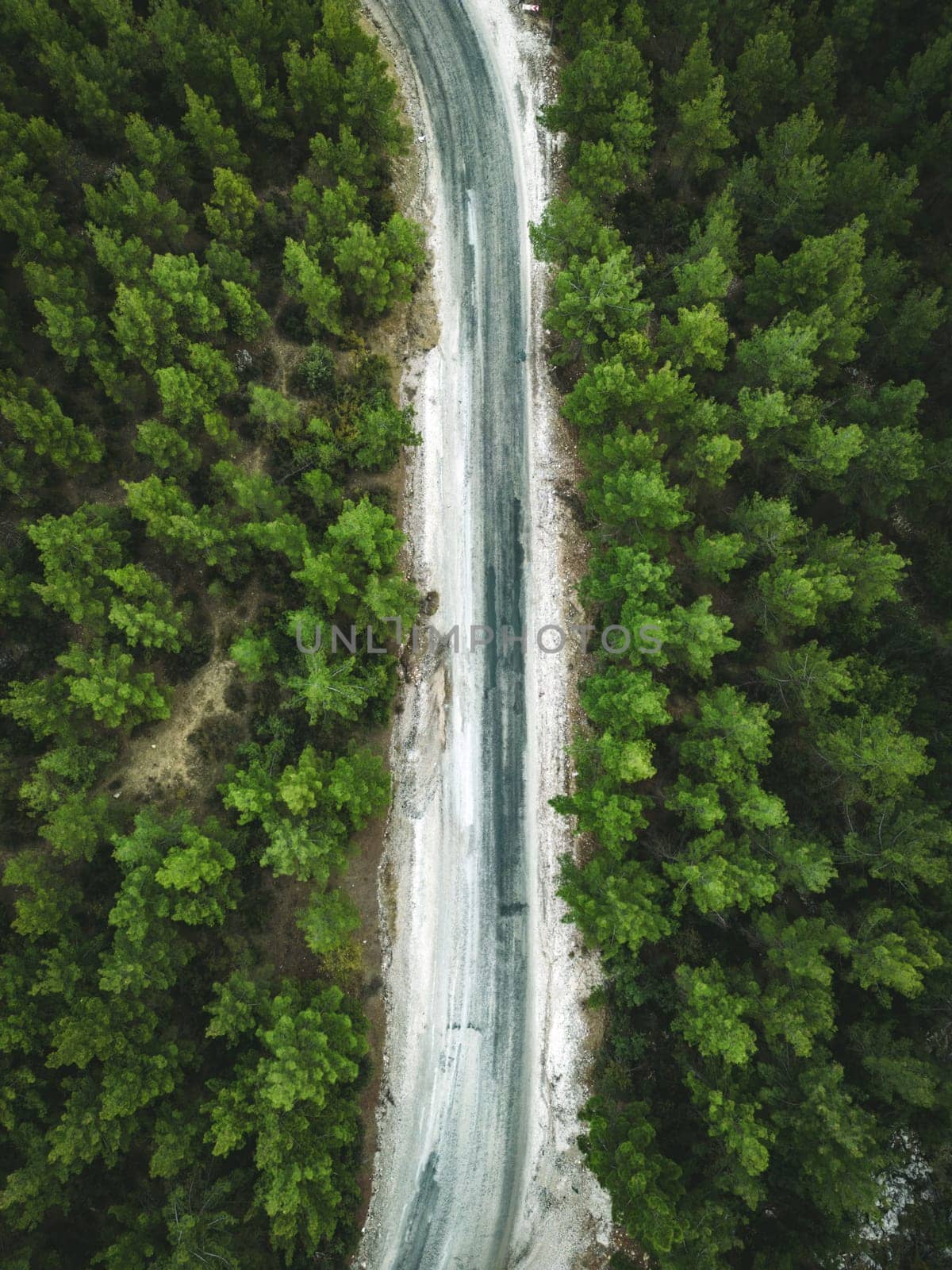 Aerial view of forest road with pine trees on both sides in autumn by Sonat