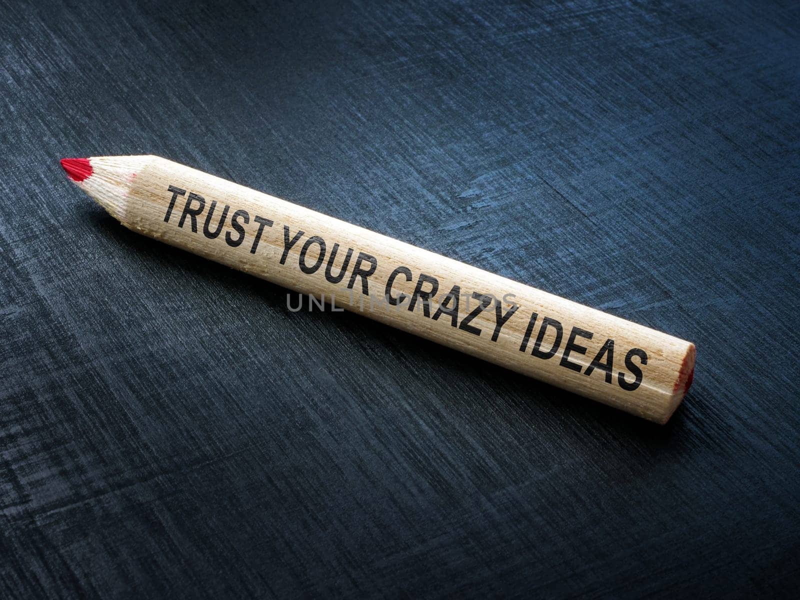 A Pencil with inscription Trust your crazy ideas. by designer491