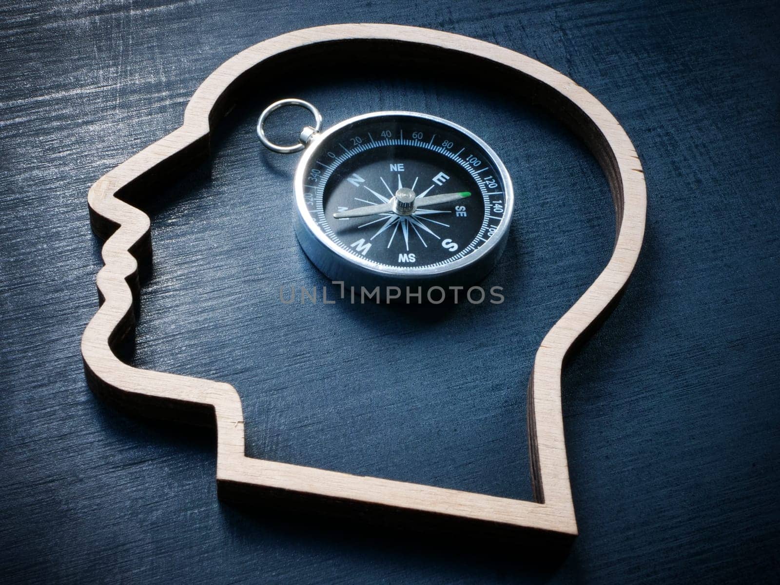 Contour of a head with compass as a concept of finding a path in life, a choice in development. by designer491