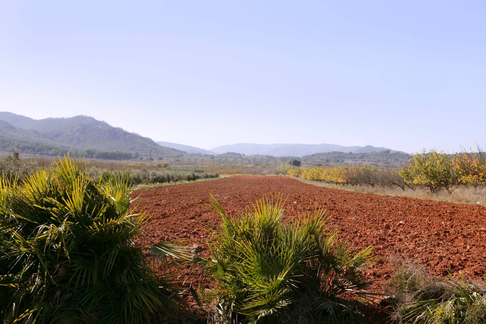 Red clay soil texture on a sunny morning in Spain