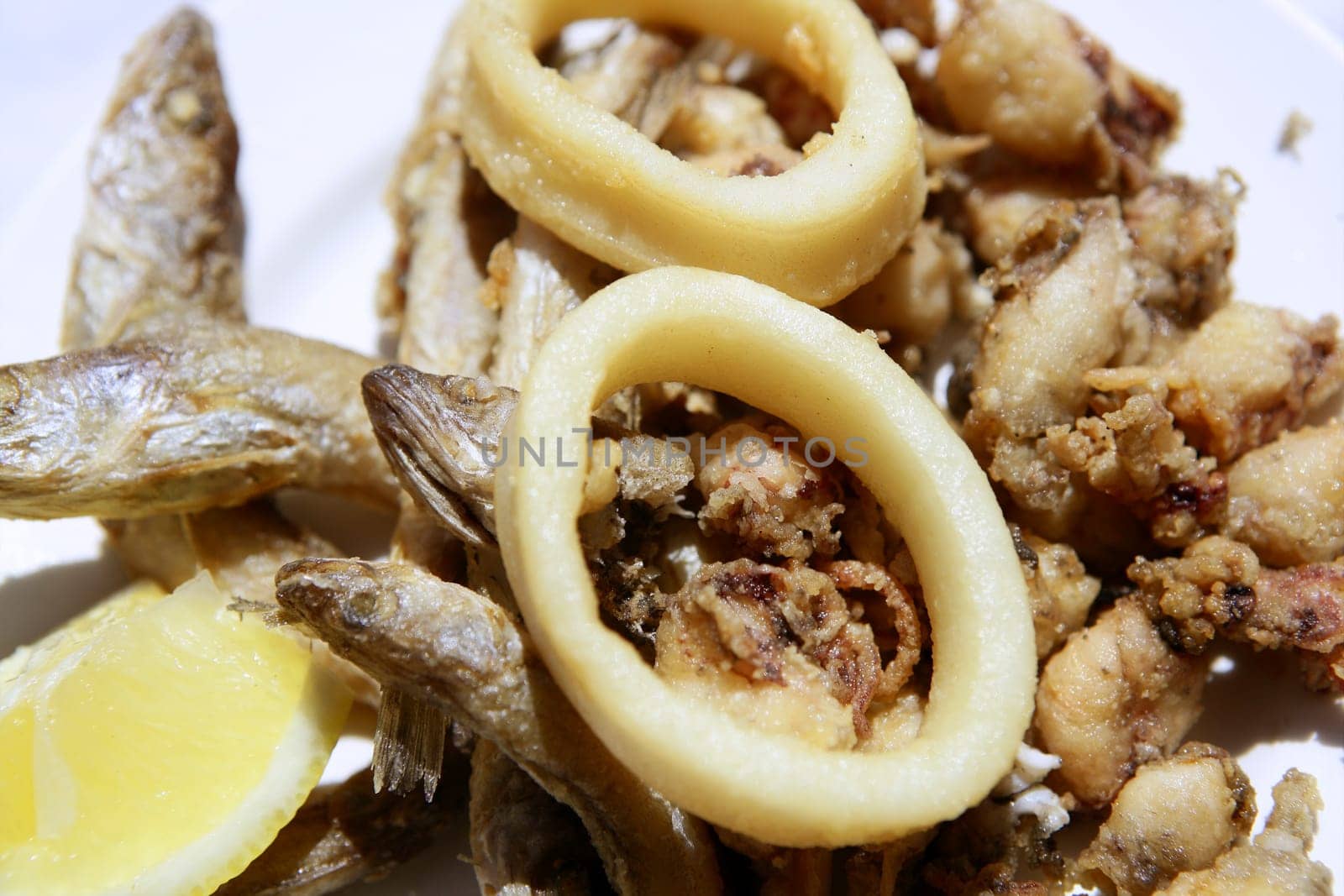 Fried seafood plate, Mediterranean fish and squid